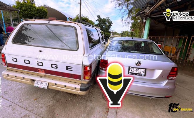 photo_4913579910073355393_y (1)