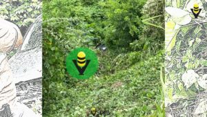 Pierde el control de su vehículo y cae a un barranco, en Chicontepec 