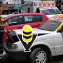 Víbora se mete a un taxi en Huejutla y pone en apuros a taxista