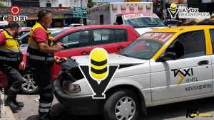 Víbora se mete a un taxi en Huejutla y pone en apuros a taxista