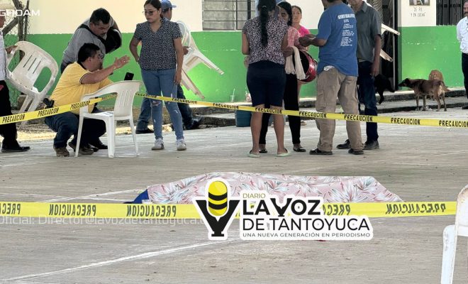 photo_4913882816936872720_w photo_4913882816936872720_w