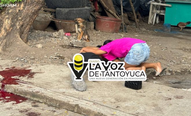 photo_4913882816936872749_w