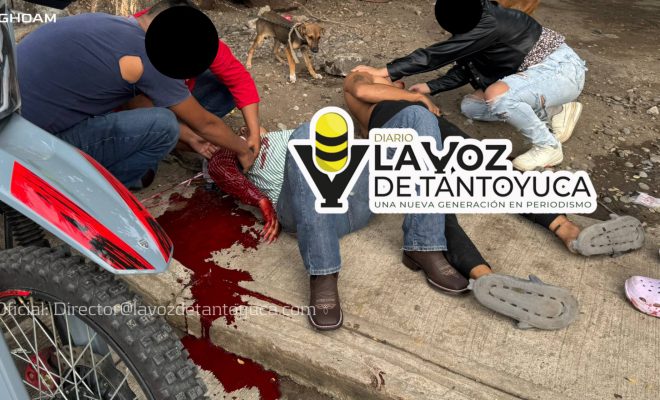 photo_4913882816936872750_w