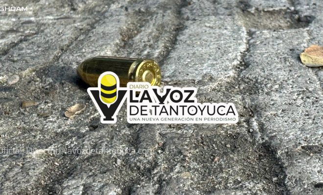 photo_4913882816936872751_w