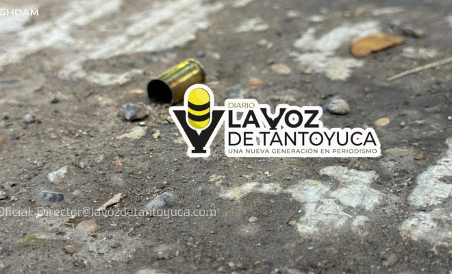 photo_4913882816936872752_w