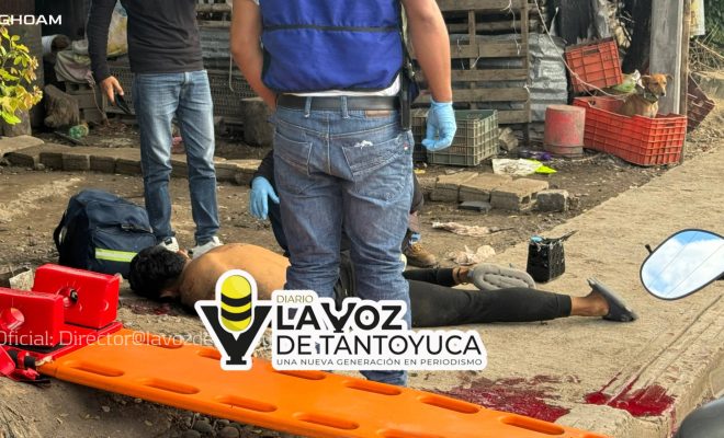 photo_4913882816936872753_w