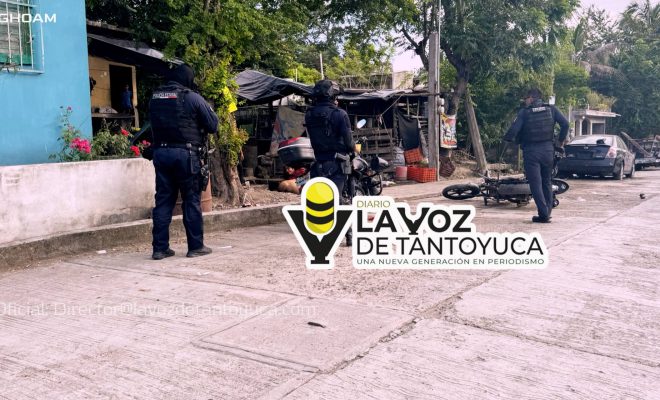 photo_4913882816936872754_w