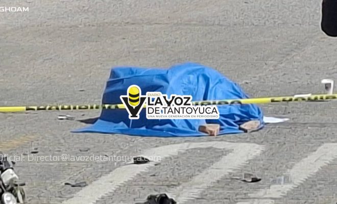 photo_4916036158920264464_w