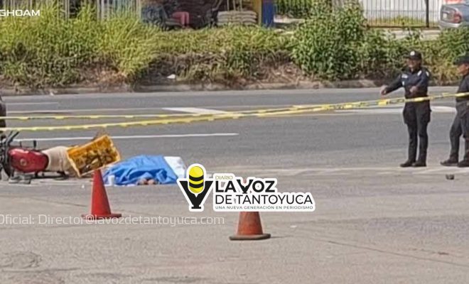 photo_4916036158920264465_w