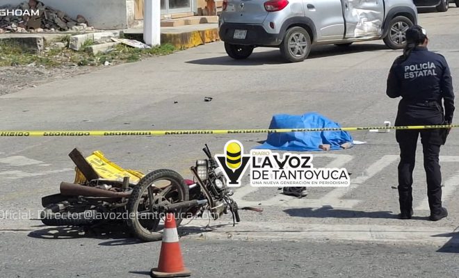 photo_4916036158920264466_w