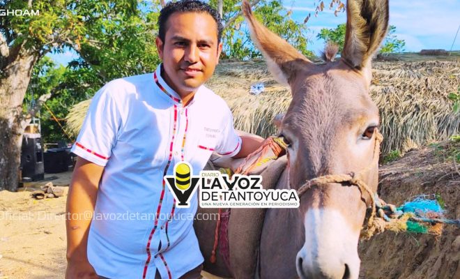 Claves del caso Jaime Toral, influencer acusado de trata de personas: desde doña Lety hasta su novia desaparecida