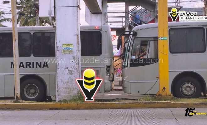 photo_4916041214096772032_y