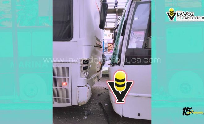 photo_4916041214096772033_y