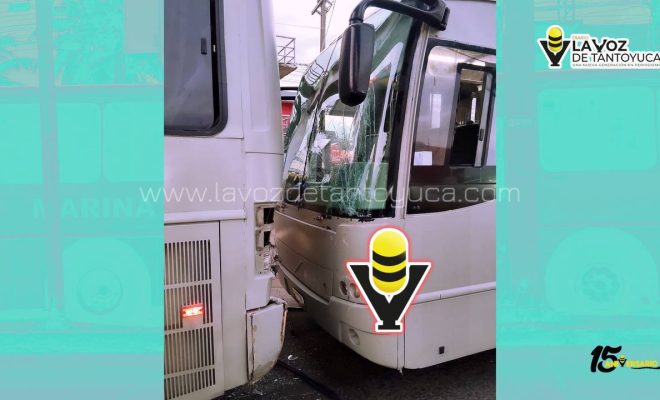 photo_4916041214096772034_y