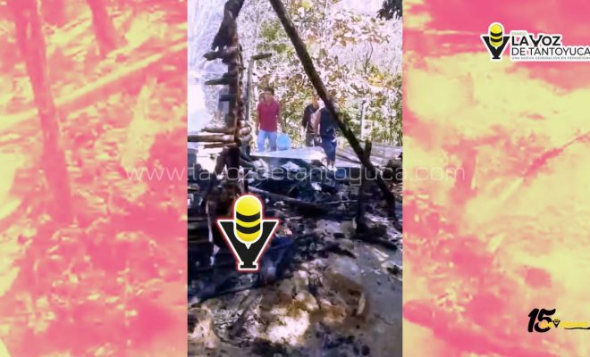 photo_4916041214096772041_y