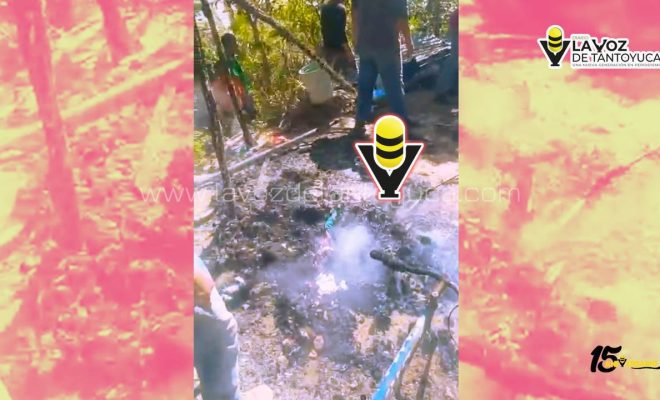 photo_4916041214096772042_y