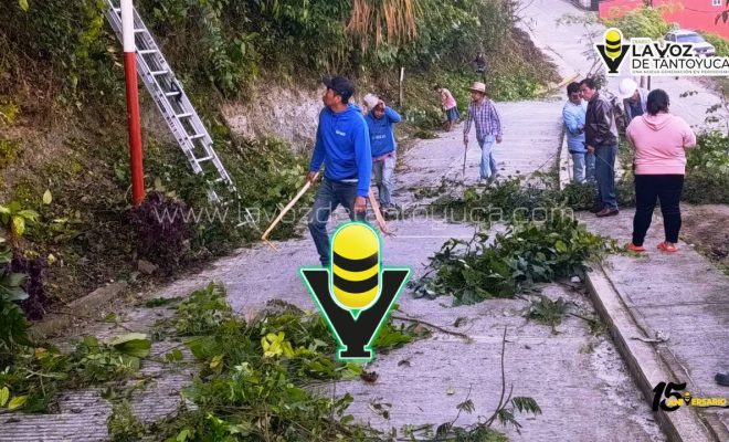 photo_4916103611381648256_y