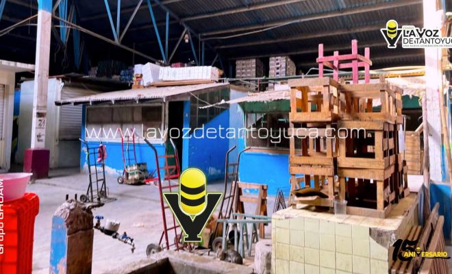 photo_4918333257754020714_y