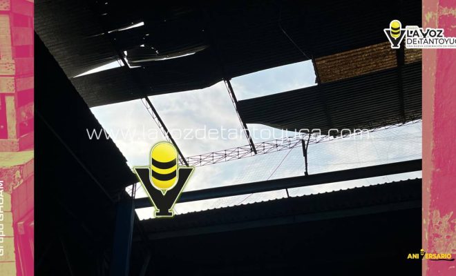 photo_4918333257754020717_y