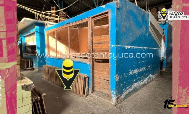 photo_4918333257754020718_y