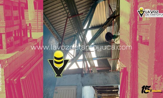 photo_4918333257754020719_y