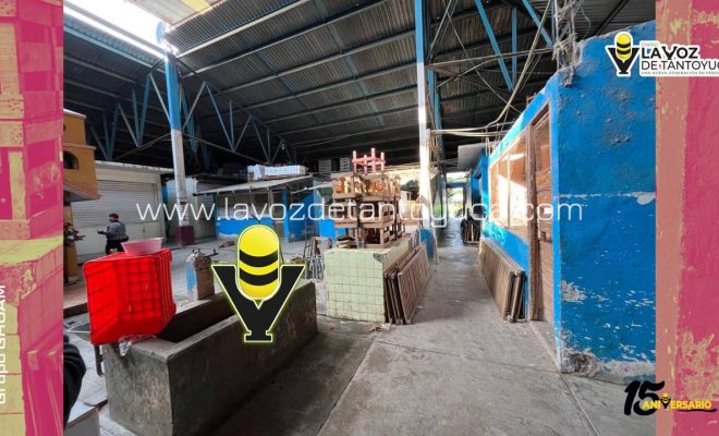 photo_4918333257754020720_y