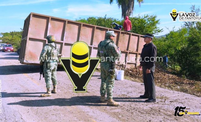 photo_4918333257754020723_y