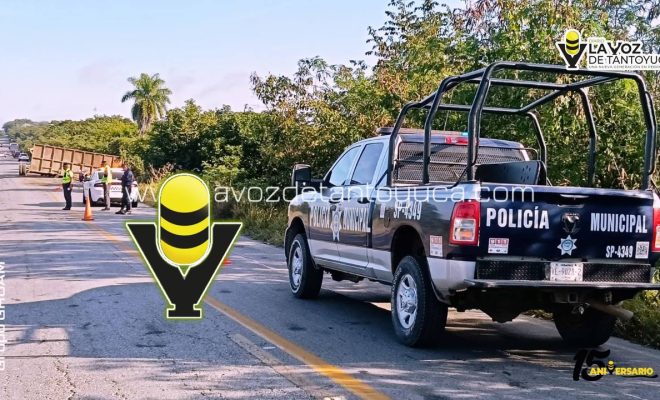 photo_4918333257754020725_y