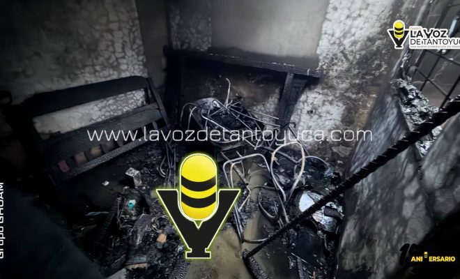 photo_4918333257754020730_y