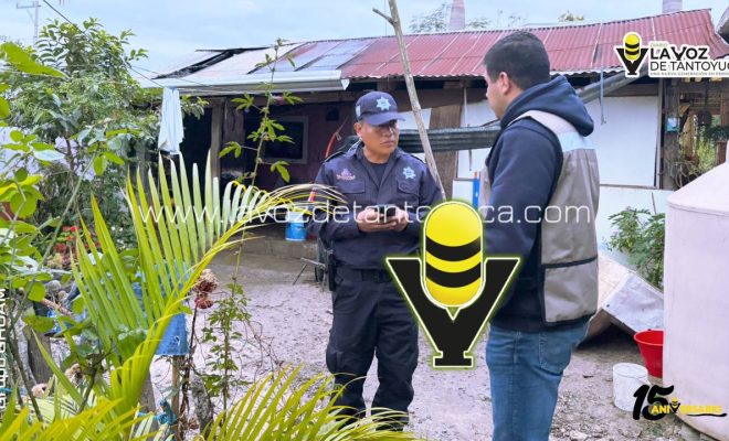 photo_4918333257754020731_y