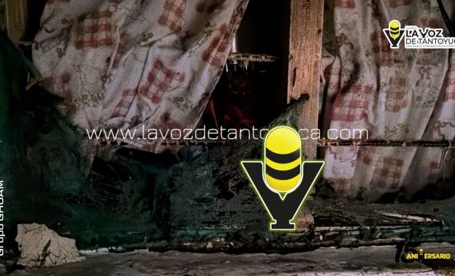 photo_4918333257754020732_y