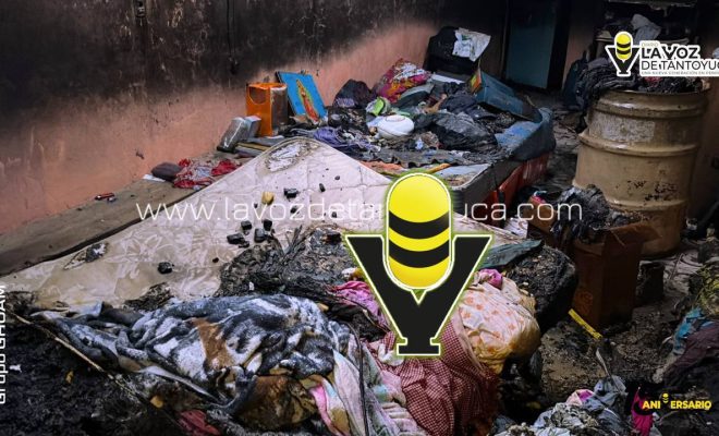 photo_4918333257754020733_y