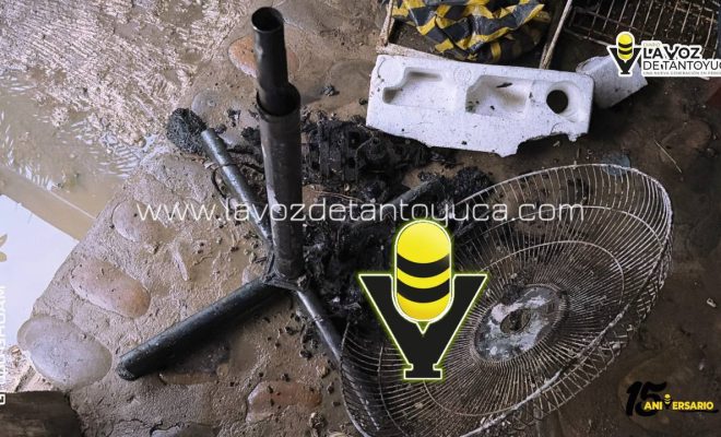 photo_4918333257754020734_y