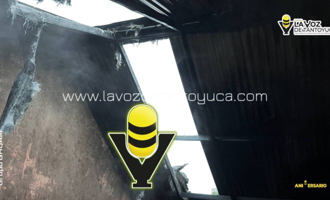 photo_4918333257754020735_y