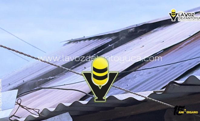 photo_4918333257754020736_y