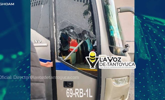 photo_4920451136192449401_y photo_4920451136192449401_y