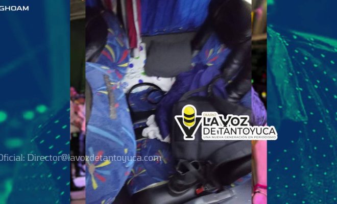 photo_4920451136192449402_y photo_4920451136192449402_y