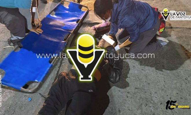 photo_4920469097745681240_y