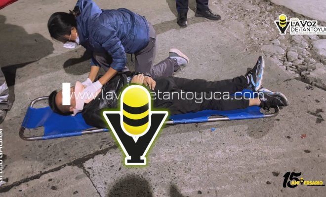 photo_4920469097745681241_y