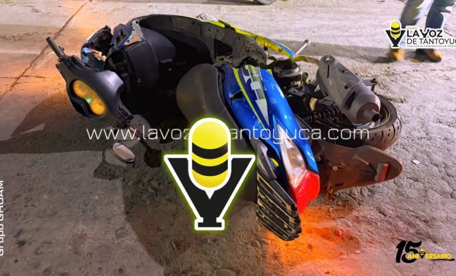 photo_4920469097745681244_y