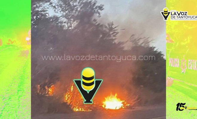 photo_4920607211009018767_y