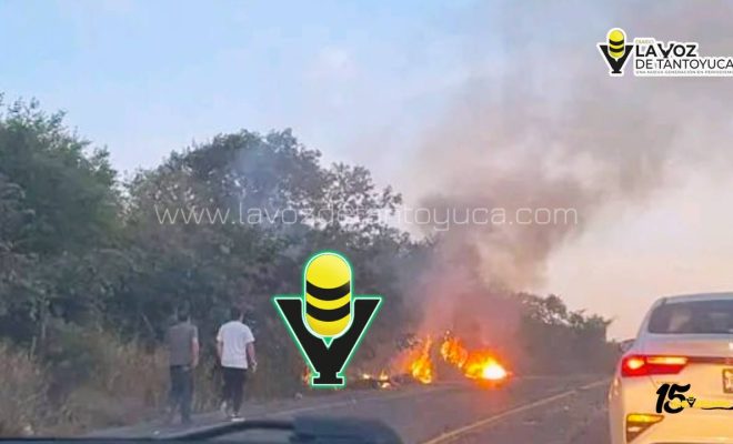 photo_4920607211009018768_y