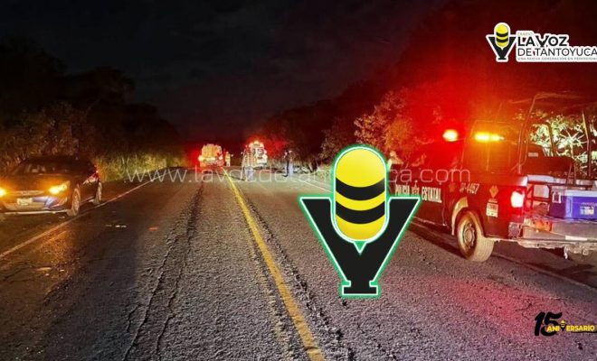 photo_4920607211009018769_y