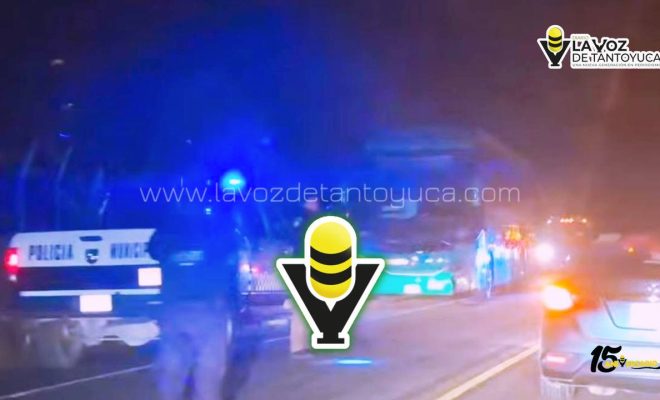 photo_4920607211009018771_y