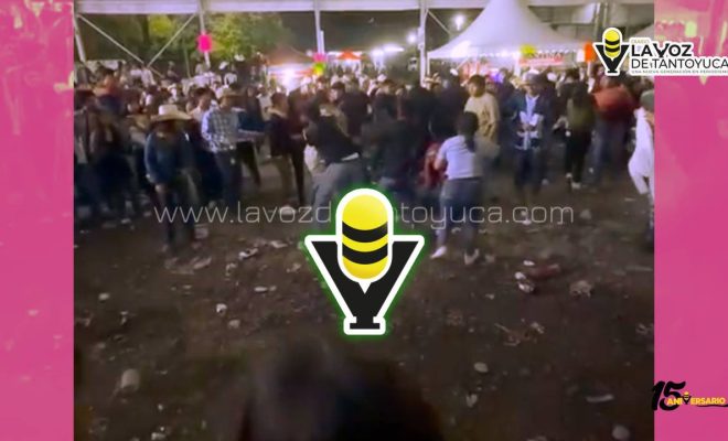 photo_4920607211009018774_y