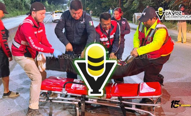 photo_4920607211009018776_y