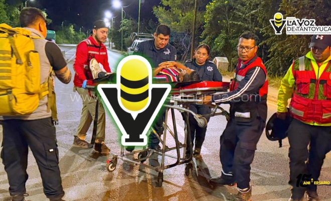 photo_4920607211009018777_y