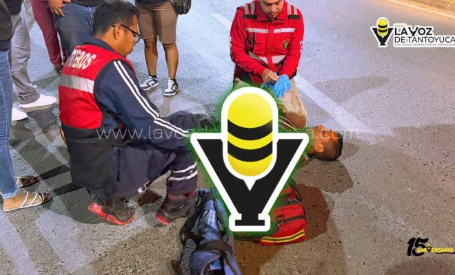 photo_4920607211009018778_y