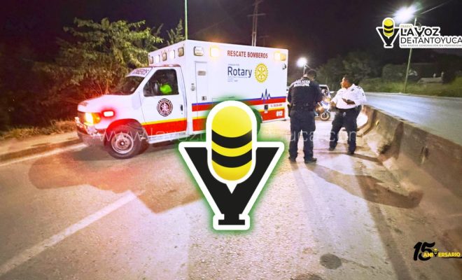 photo_4920607211009018781_y