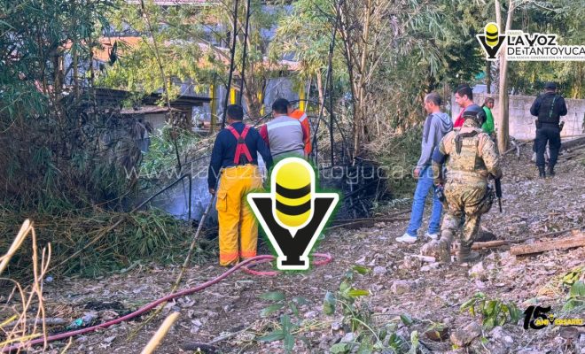 photo_4922565664556387755_y